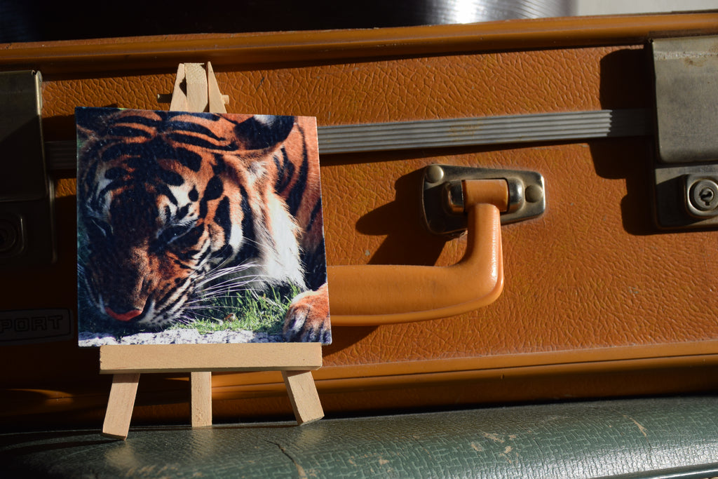 Tiger King