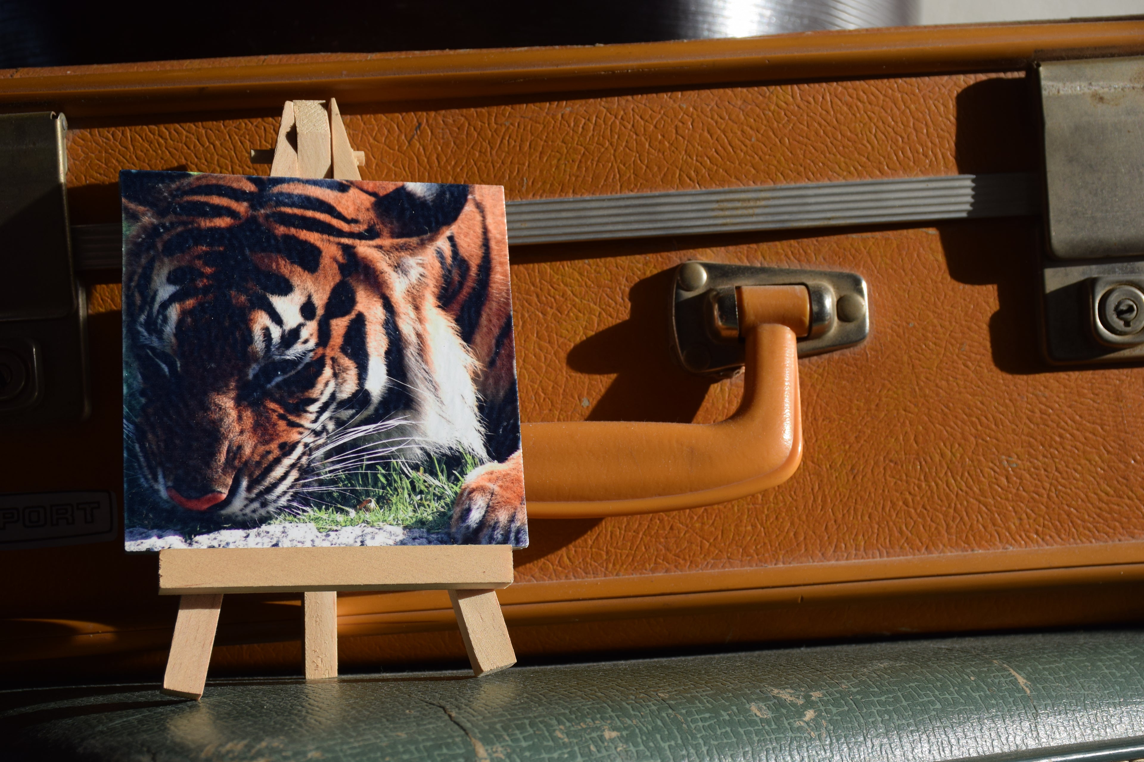 Tiger King