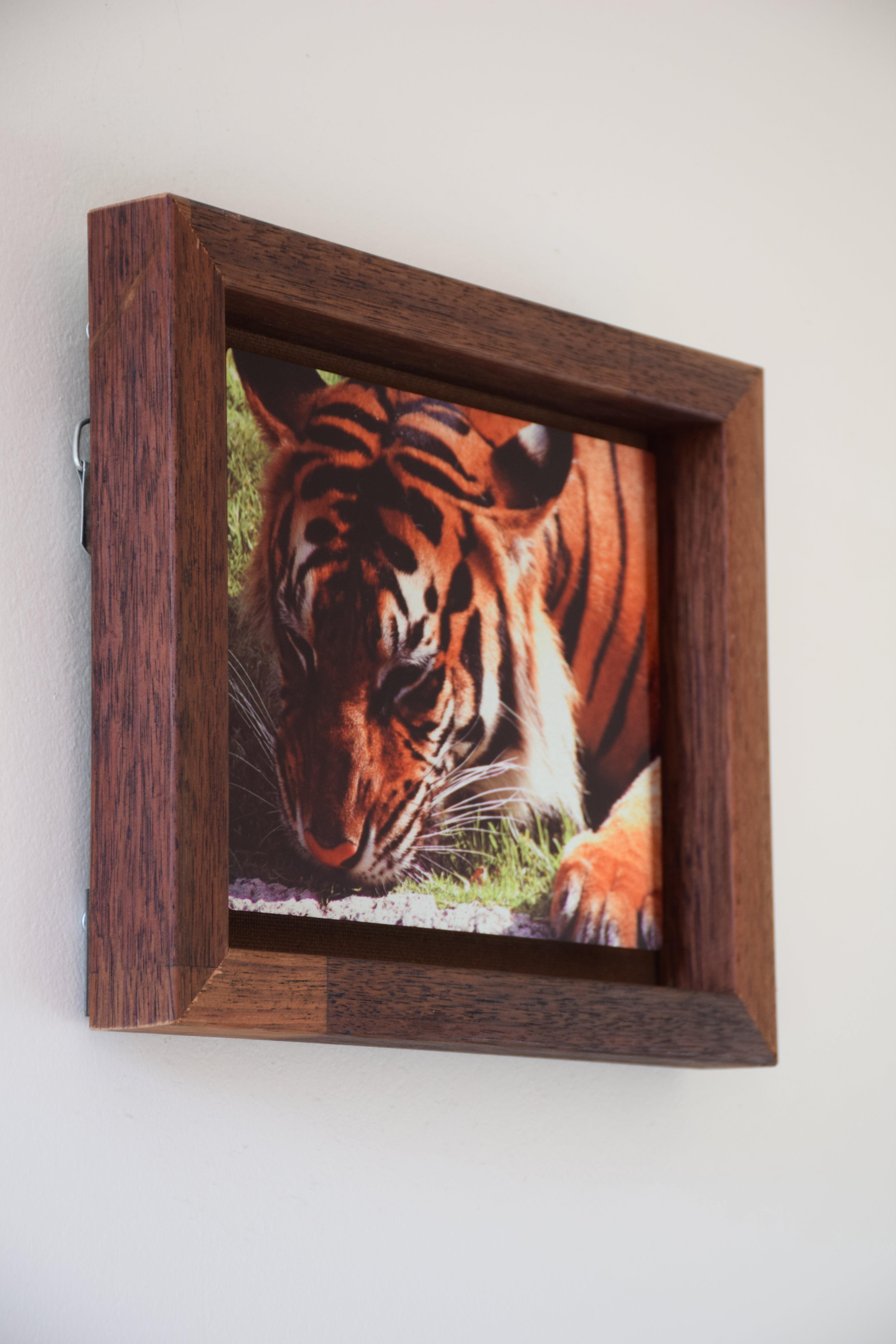 Tiger King