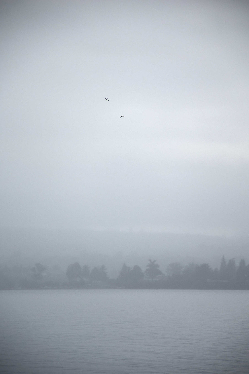 Nosedive