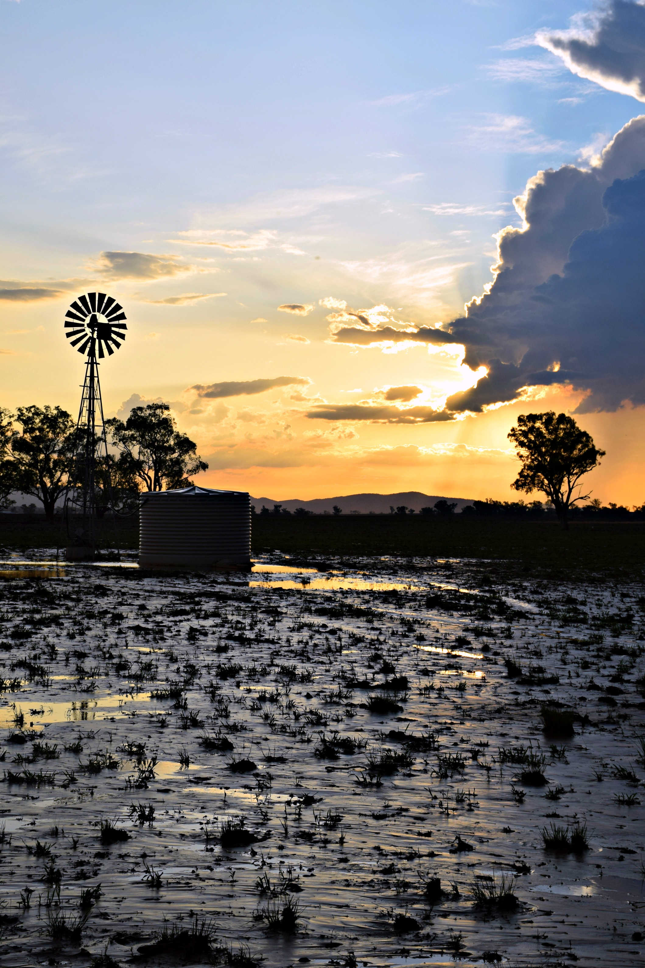 Sunset Plains