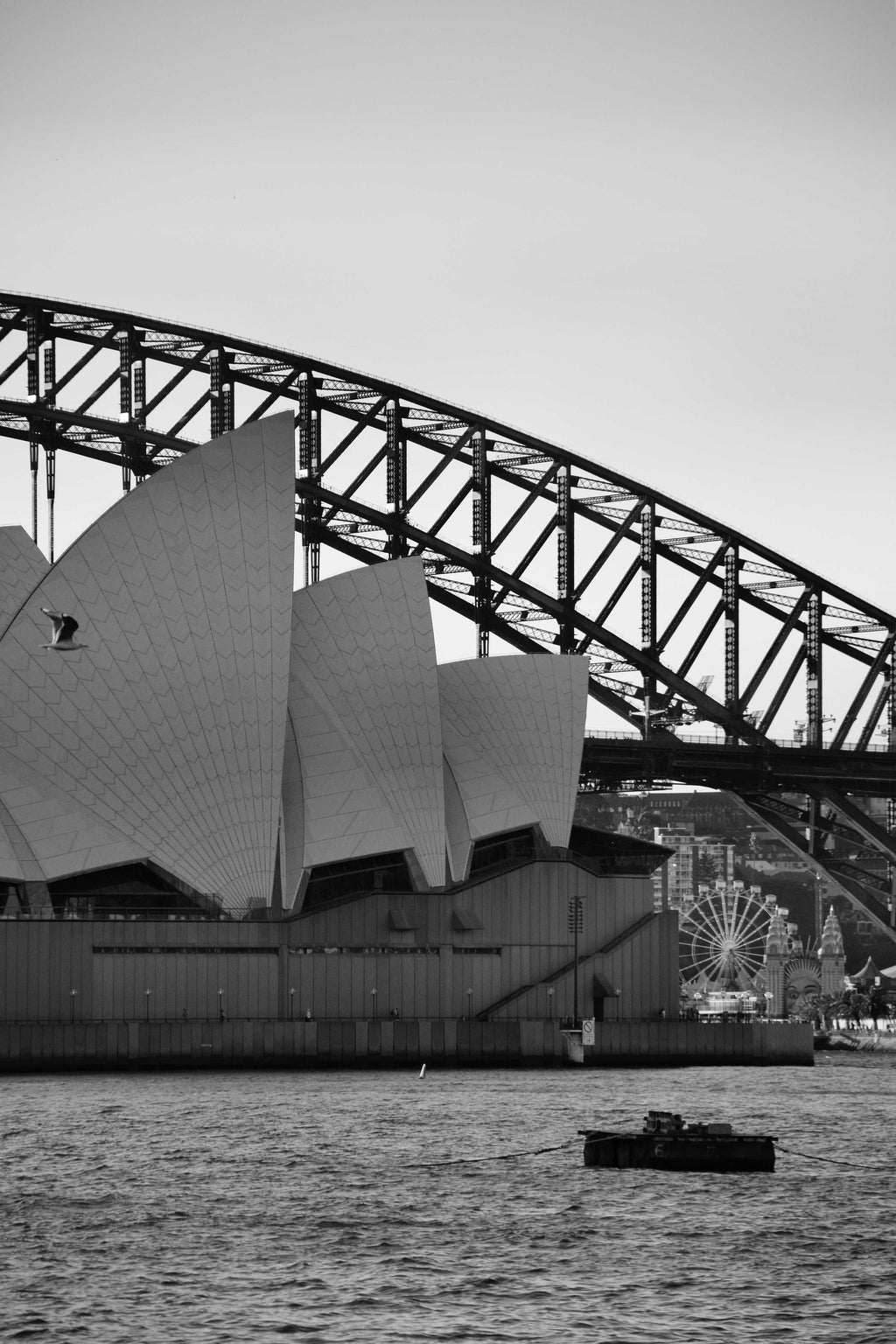 Sunset Sydney