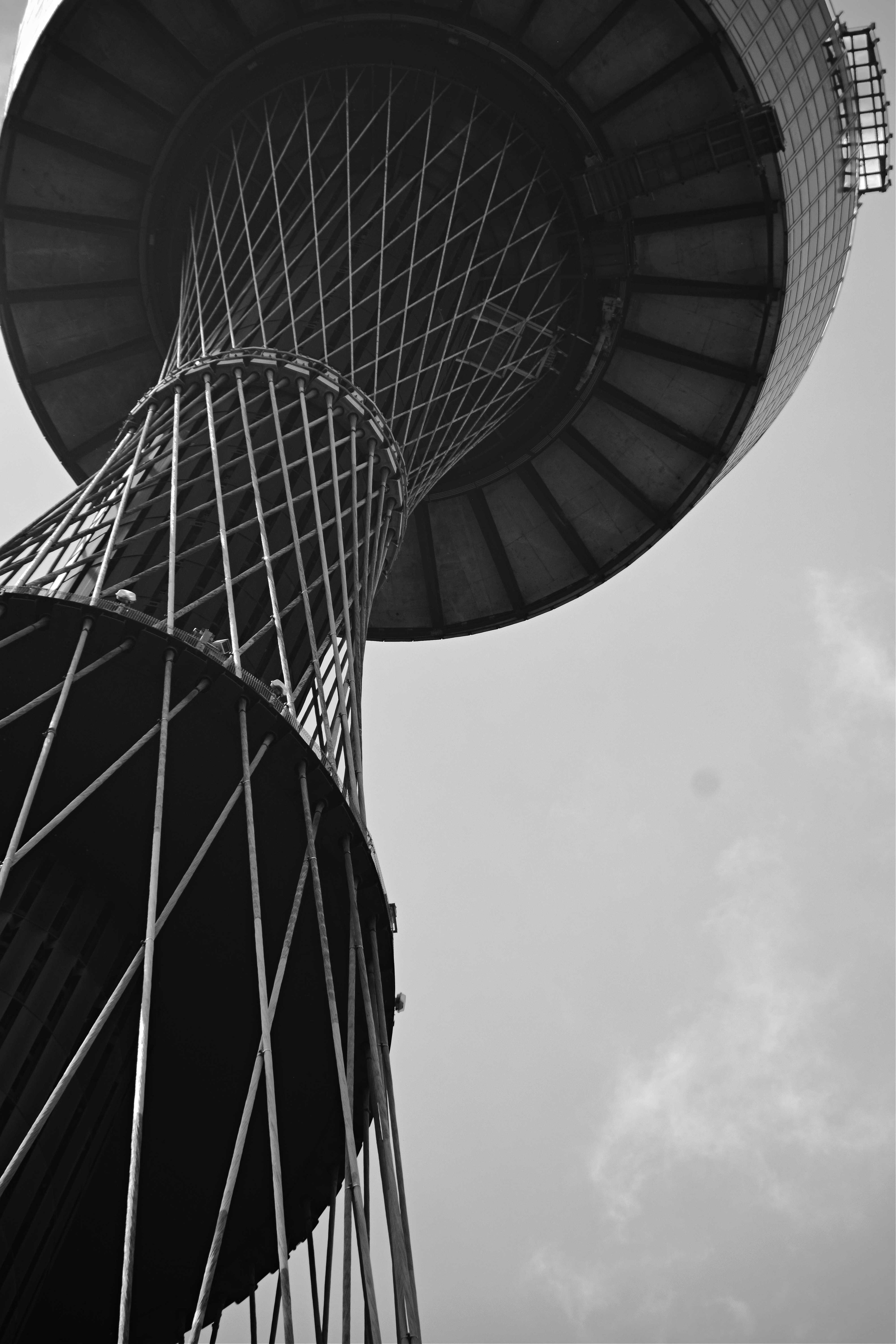 Towering Over